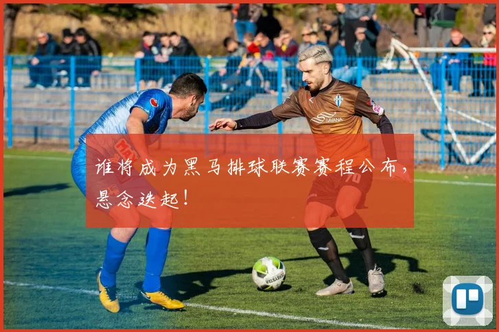 谁将成为黑马排球联赛赛程公布,悬念迭起!