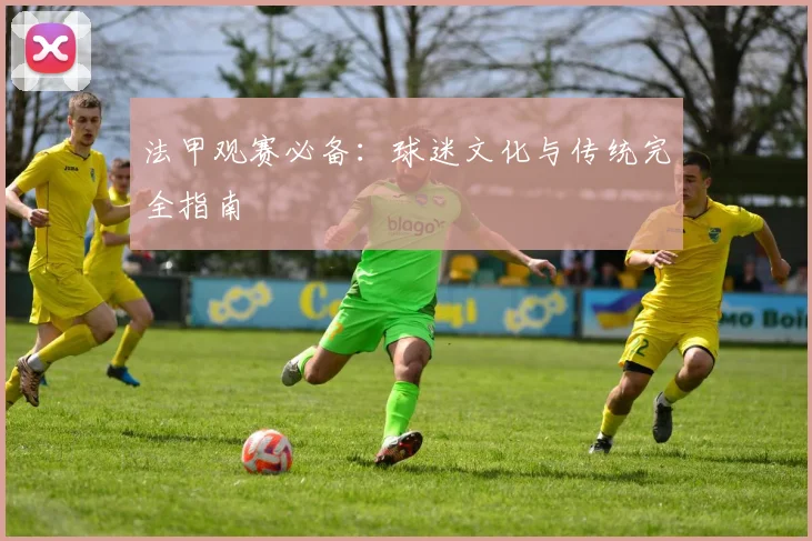 法甲观赛必备：球迷文化与传统完全指南