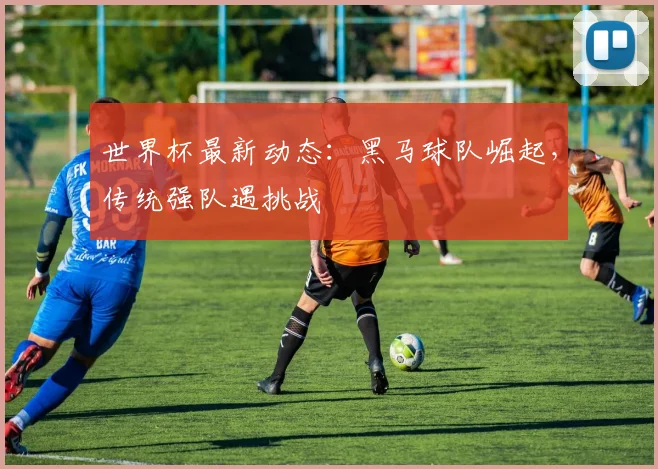 世界杯最新动态:黑马球队崛起,传统强队遇挑战