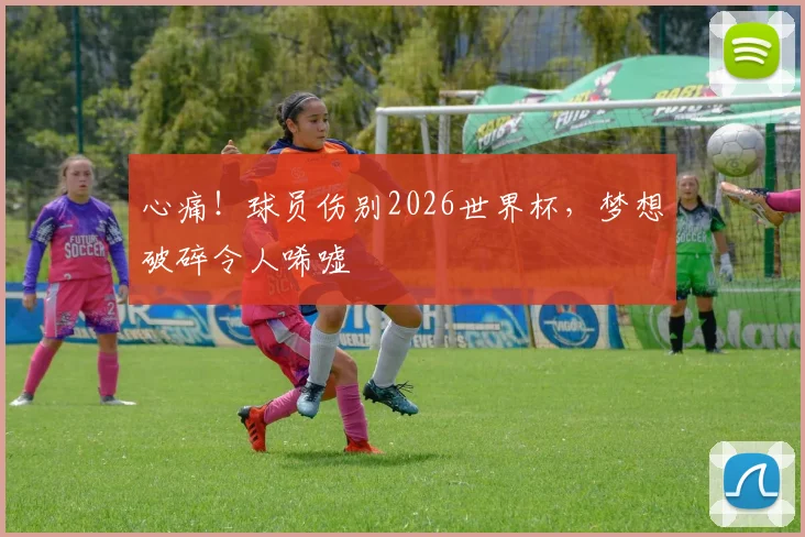 心痛!球员伤别2026世界杯,梦想破碎令人唏嘘